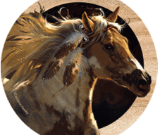 Horse Coasters Sacred Passage