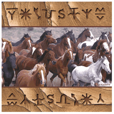Horse Collage Sandstone Square Coaster