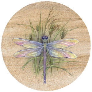 Dragonfly Sandstone Coaster