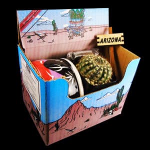 Boxed Cactus - One Cactus with Ceramic Bowl