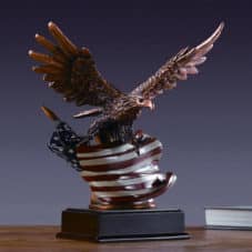 Bronze Finish Eagle with American Flag 51138