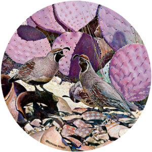 Desert Patterns Quail Sandstone Coaster