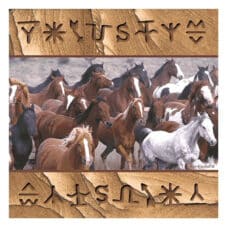 Horse Collage Sandstone Square Coaster