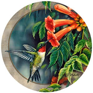 Hummingbird and Trumpet Vine Sandstone Coaster