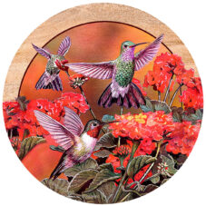 Hummingbirds and Flowers Sandstone Coaster