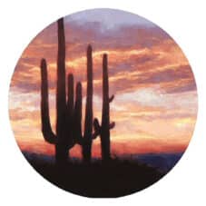 Saguaro Sunset Sandstone Coaster