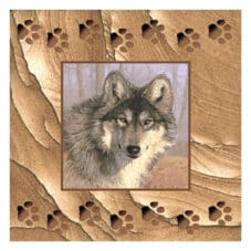 Untamed Spirit Sandstone Square Coaster