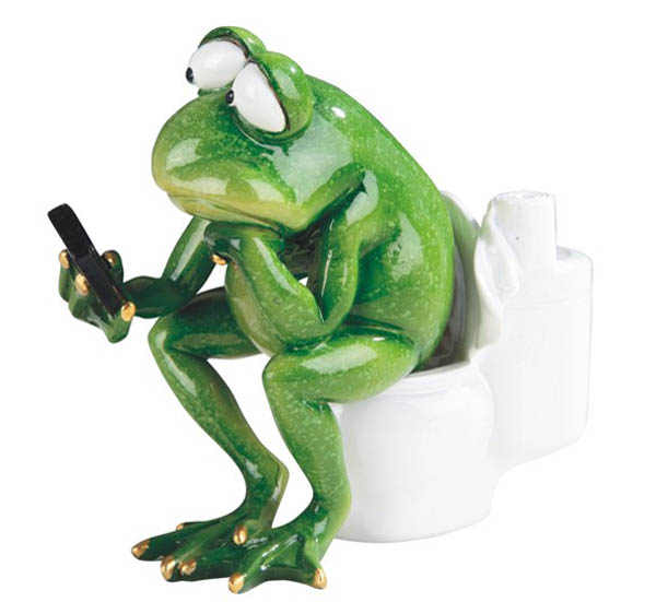 Frog On Toilet Reading Phone | Joe Wilcox Indian Den