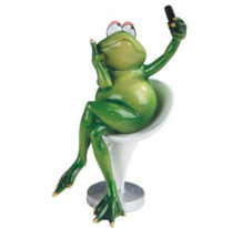 Frog taking a selfie 61167