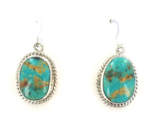 Turquoise Stone with Matrix Earring