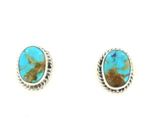 Turquoise Oval Stone Post Earring