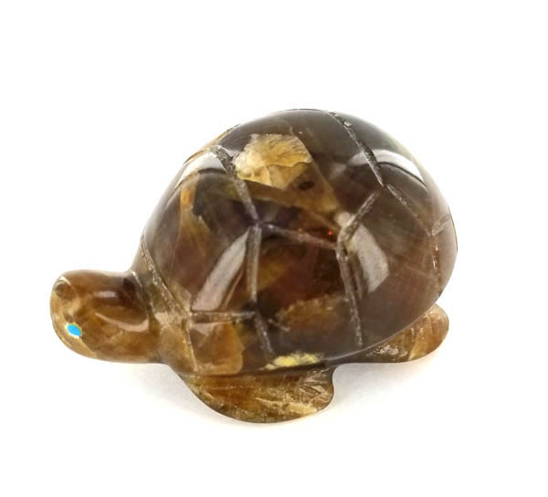 americanindian sybl fetish Turtle