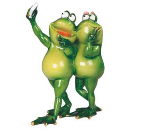 Frog Couple Taking Seflie
