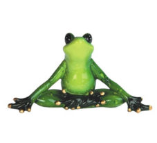 Frog In Yoga Pose