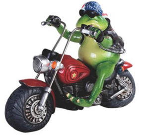 Frog On Motorcycle with Beanie