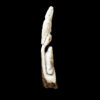IAC-FET-197 Authentic Bone Antler Zuni Double Eagle Carving-Back