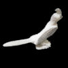 IAC-FET-198 Zuni Bone Carving of a Roadrunner-back