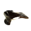 Black Marble Zuni Magpie Carving by Calvert Bowannie