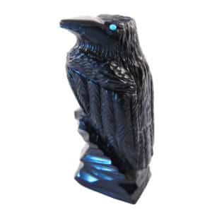 Detailed Raven Fetish by Tucson