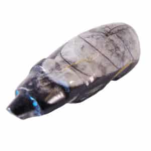 Orthoceras Zuni Mole Fetish by Quam