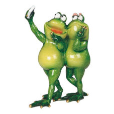 Frog Couple Taking Seflie