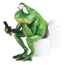 Frog On Toilet Reading Phone