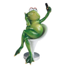 Frog taking a selfie 61167