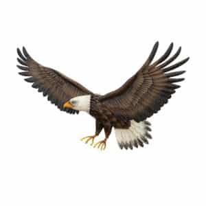 Regal-Eagle-Wall-Decor