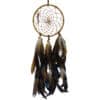 Dream Catcher w Feathers & Crystals