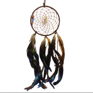 Dream Catcher w Feathers & Crystals