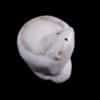 Zuni Antler Polar Bear Carving