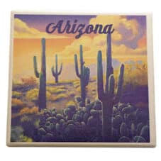 Arizona Southwest Desert Square Drink Coaster