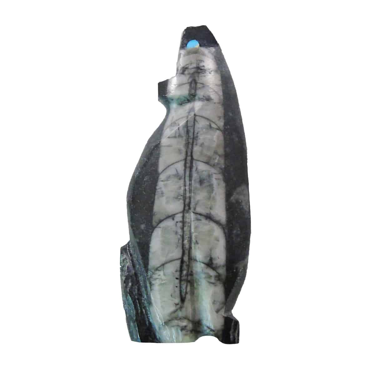 Zuni Orthoceras Coyote Fetish - Image 3