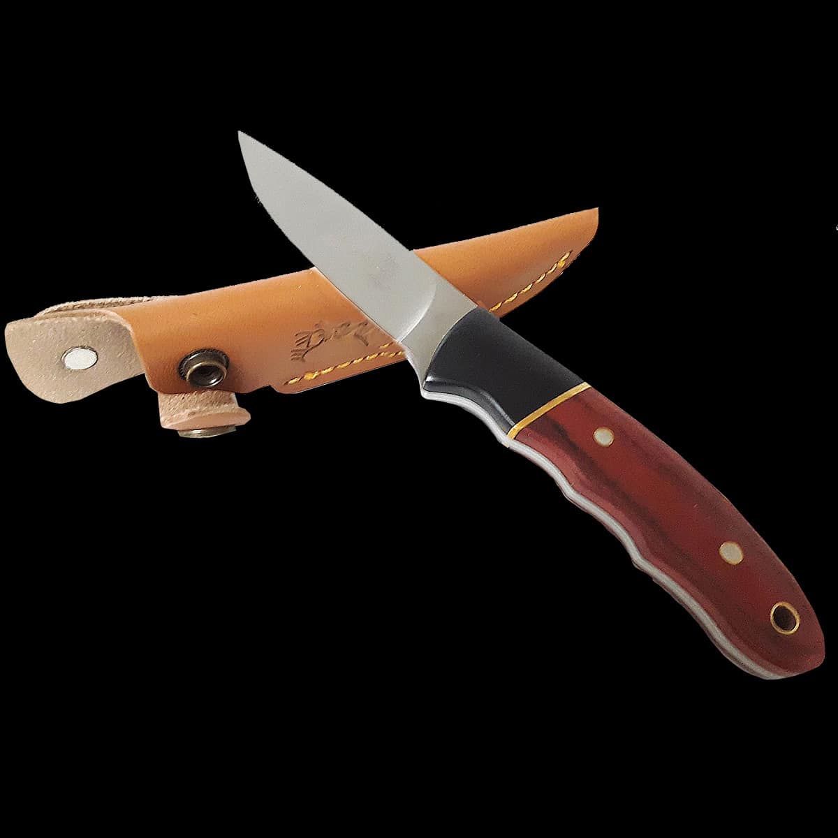 Eagle Two Tone Wood Fixed Blade Knife - Image 2