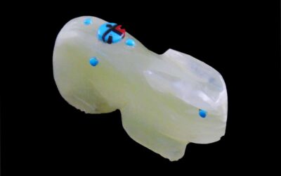 Original Laate Zuni Rabbit Fetish Carving with Sunface