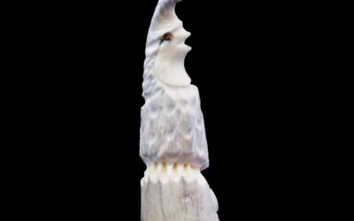 Sacred Spirit Native American Zuni Quail Antler Fetish