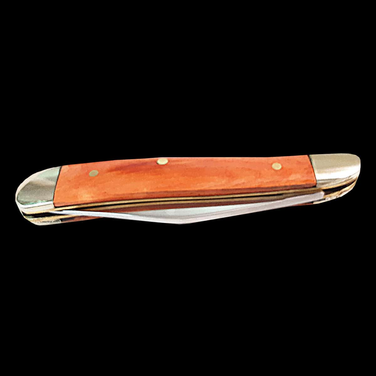 Horse Peanut Single Blade Bone Knife - Image 3