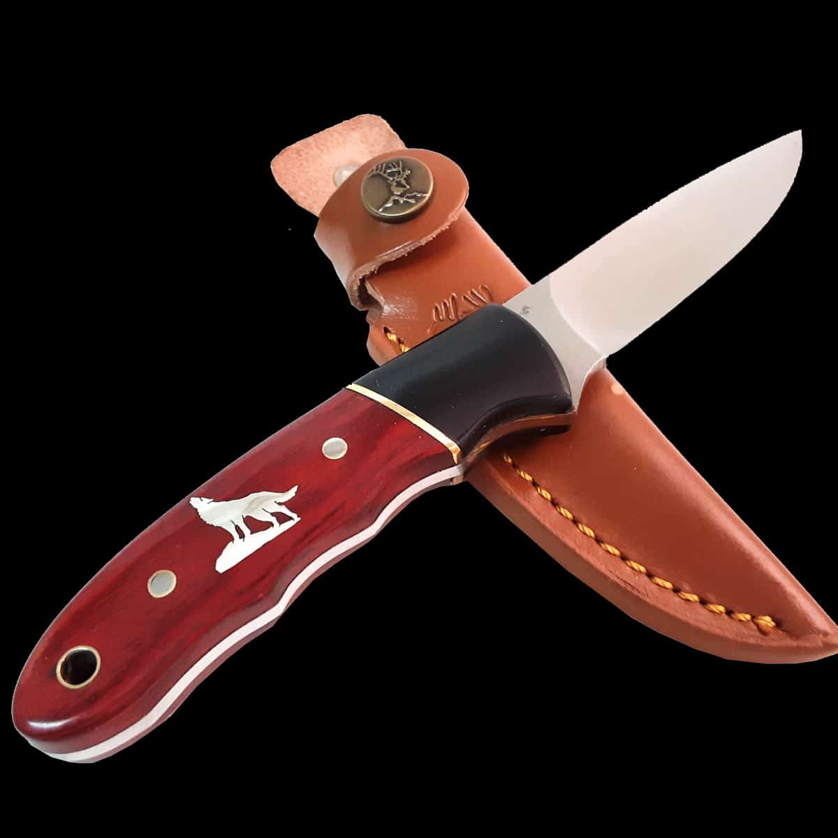 Wolf Two Tone Wood Fixed Blade Knife - Image 3
