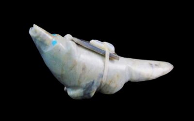 Authentic Fish Stone Zuni Coyote Fetish with Bundle