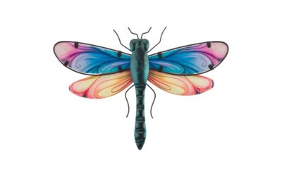 Regal Art Spectra Dragonfly Wall Decor 12″