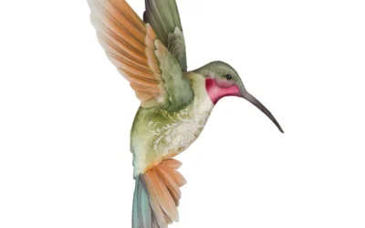 Sedona Large Ruby Jewel Hummingbird Metal & Capiz Wall Decor